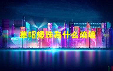 草帽燈珠為什么燒壞 草帽燈珠
